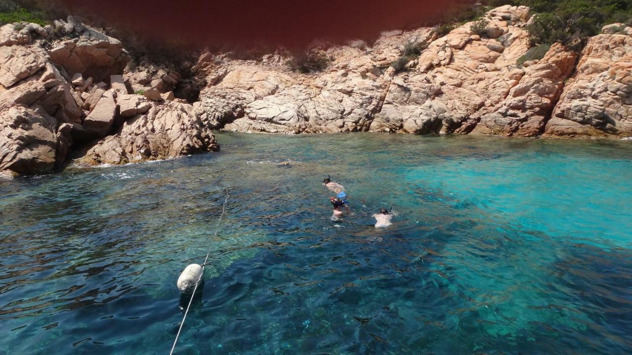 Grazioso Monolocale Villa Palau Eksteriør bilde
